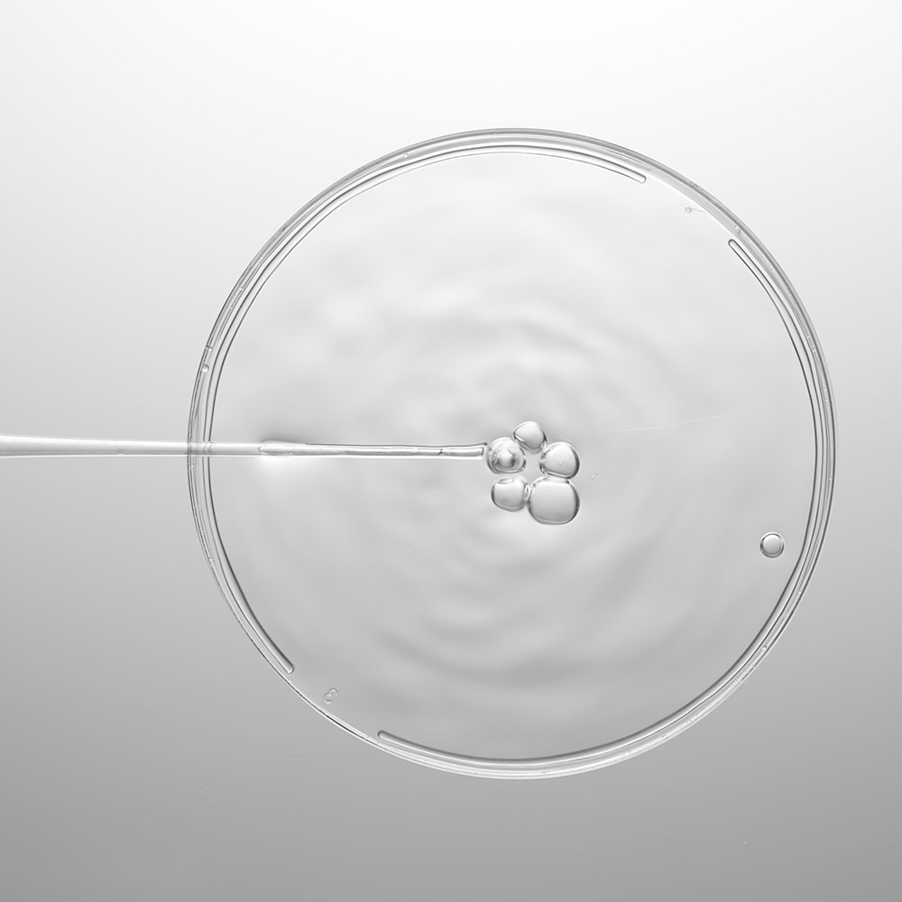 RMAAALGAKRETA-ALGAKTIV-RetinART