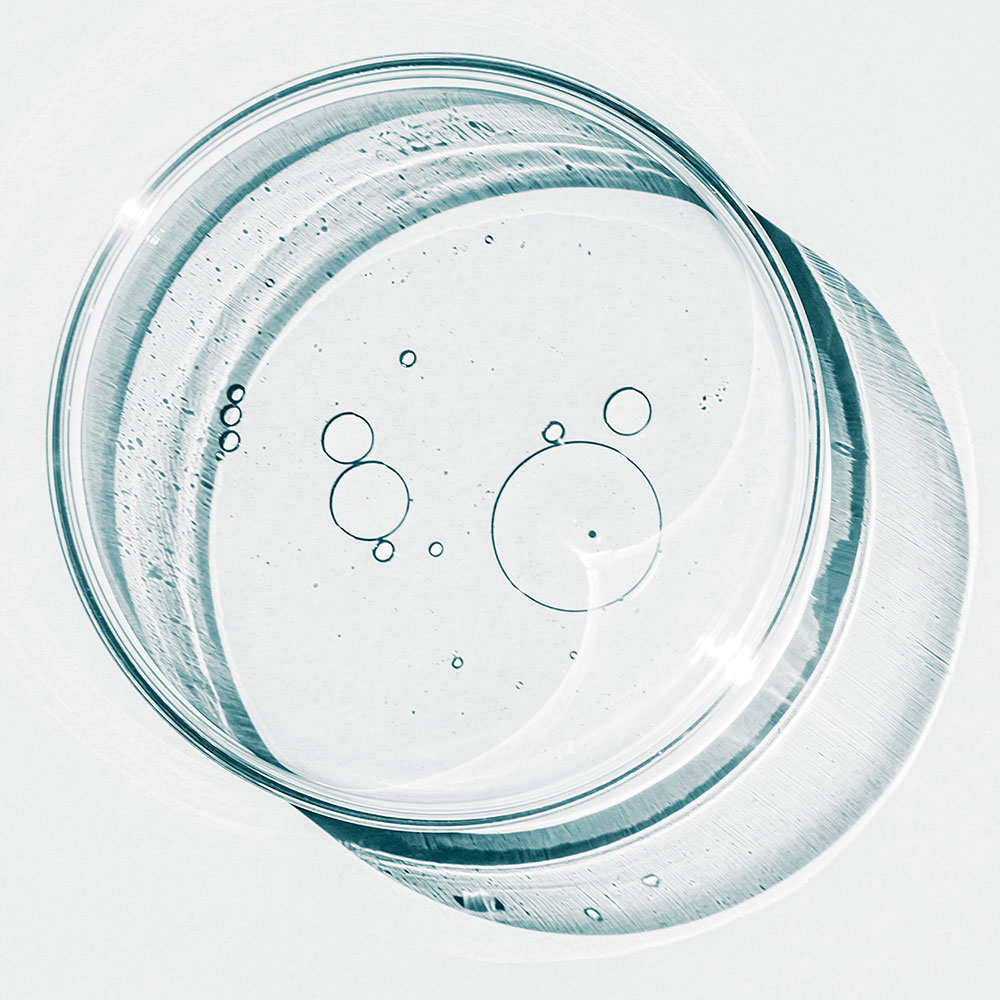 RMAALACTOPDRN---Lacto-PDRN