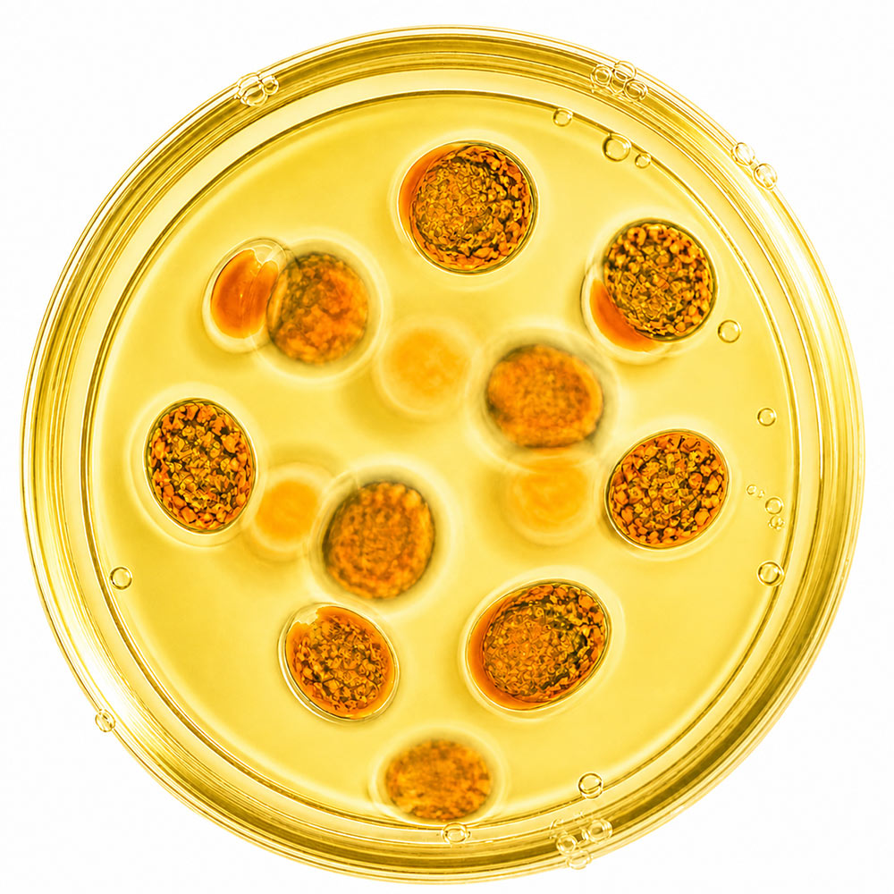 OICAROTN----Carotene-Infused-Oil